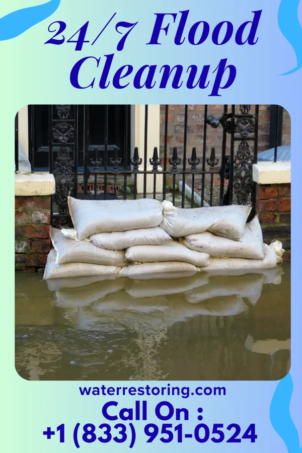 24/7 Flood Cleanup in Big Rapids, MI