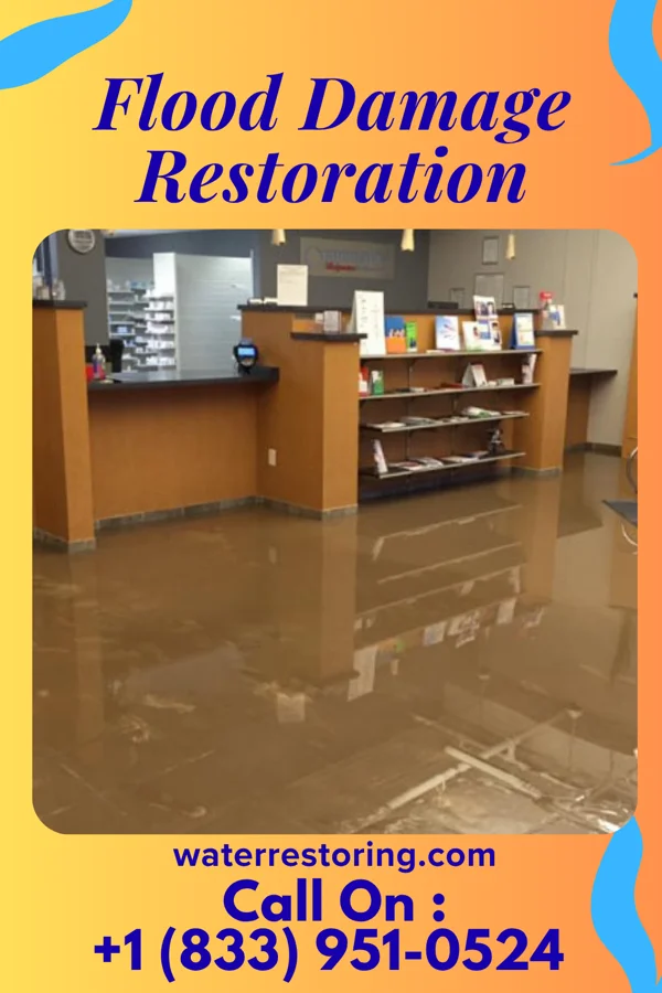 Flood Damage Restoration in Big Rapids, MI