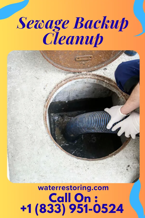 Sewage Backup Cleanup in Big Rapids, MI